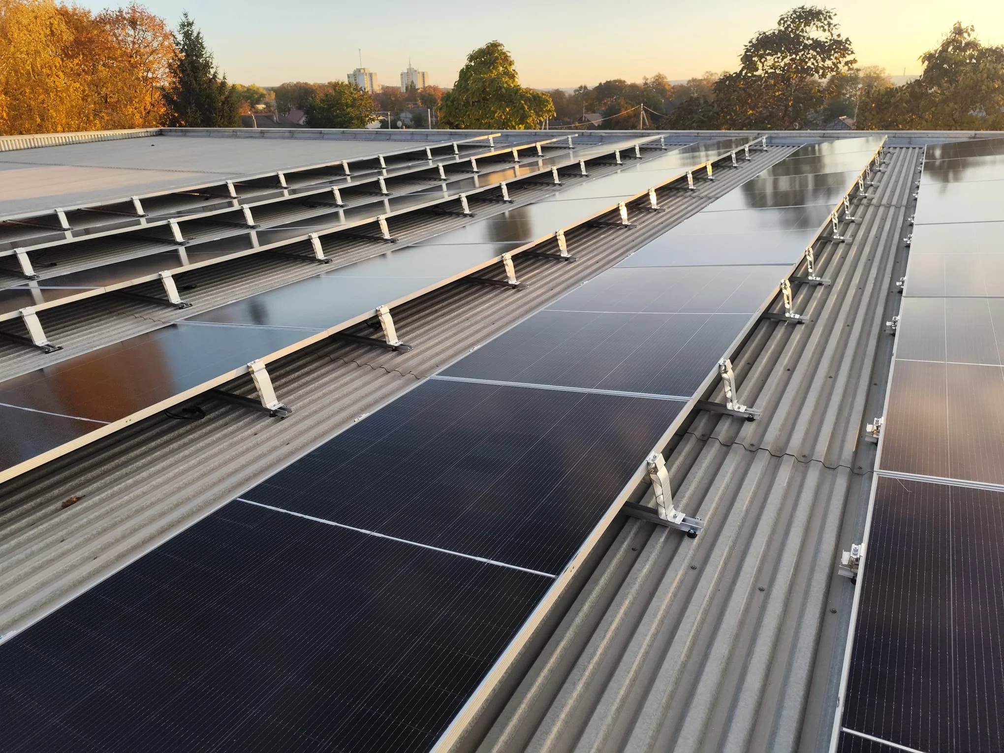 Ribnita Project Image 3