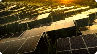 Проект Dewatt 1